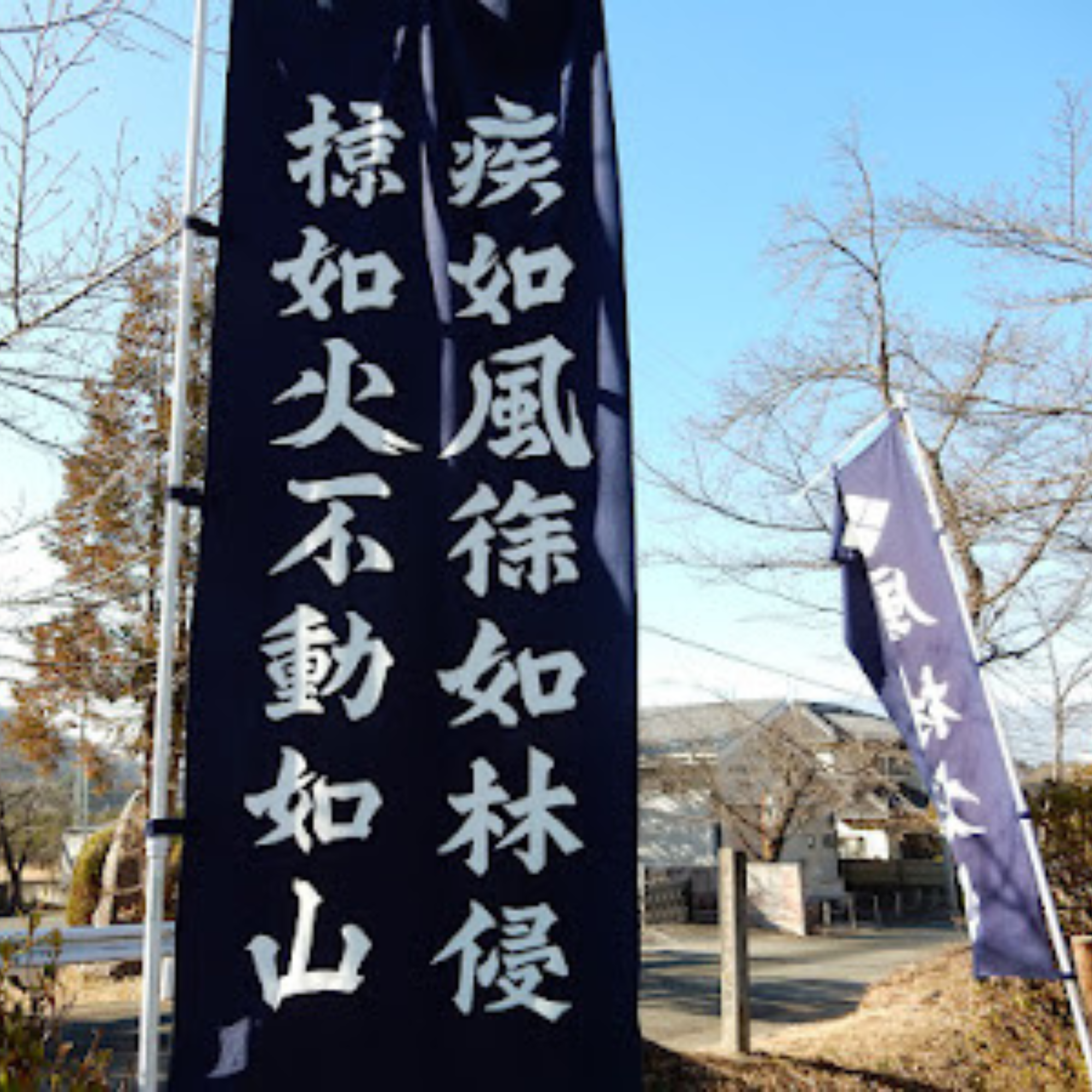 Swift as Wind, Silent as Forest, Fierce as Fire, Immovable as Mountain — 風林火山 (Fūrinkazan) by Luna